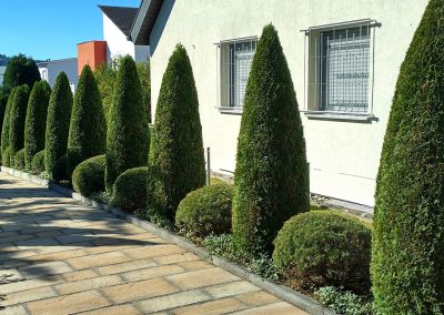 Mühlhäuser Gärten | Gartenpflege | Impression 1