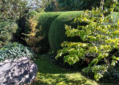 Mühlhäuser Gärten | Gartenpflege | Impression 2