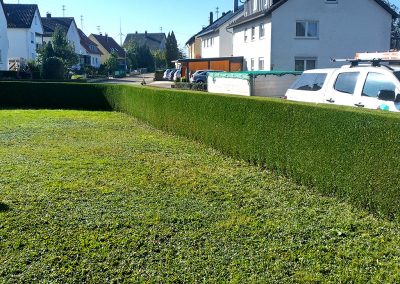 Mühlhäuser Gärten | Gartenpflege | Impression 4