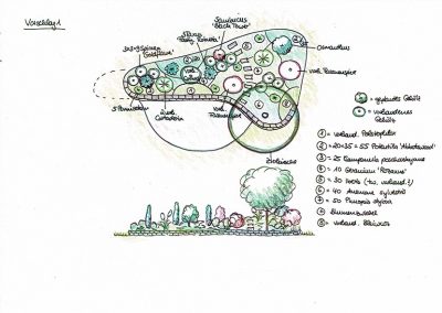 Mühlhäuser Gärten | Gartenpflege & Gartenplanung | Planung 3